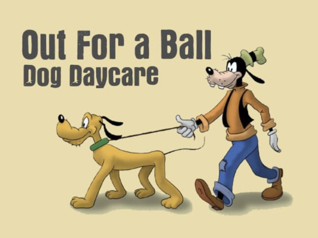 Out For a Ball Kennels